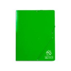 Carpeta elásticos F.V.